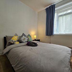 Globe Rooms